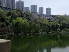 -重庆彩云湖湿地公园