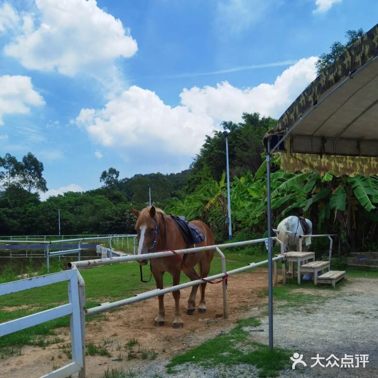 周末遛娃宝藏地||打卡格林东庄 这里户外的场地很大