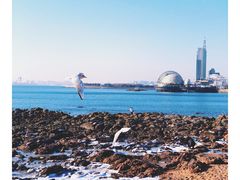 -栈桥景区