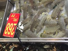 -湛江渔港·大排档(乐园路总店)