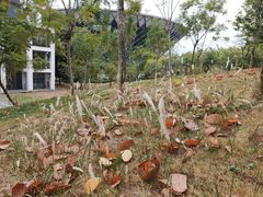 -中国移动南方基地