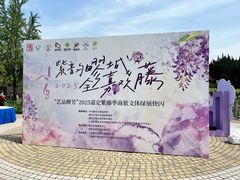 -嘉定紫藤园