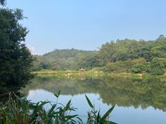 -南国桃园旅游度假区