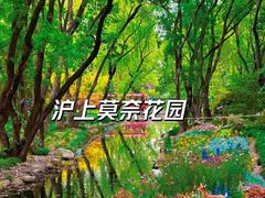 -上海共青森林公园