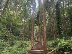 -凤栖山