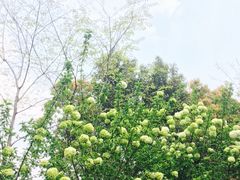 -杭州城北体育公园