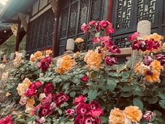 -古大圣慈寺