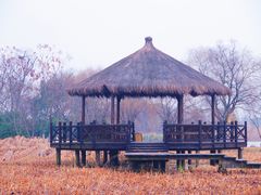 -梁鸿国家湿地公园