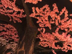 -蓝鲸湾汤泉(包河店)