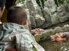 -宁波野生动物园