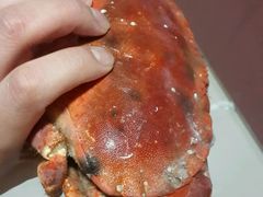 -金刚山烧烤(红旗大街店)