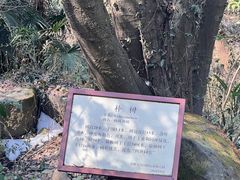 -大蜀山国家森林公园