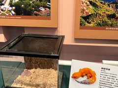 -房山世界地质公园博物馆