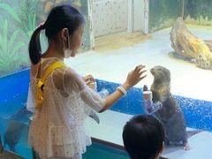 -华夏文旅海洋公园