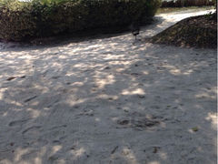 iphone_upload_pic-同里湖度假村(二期店)