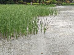 -木塔寺遗址生态公园