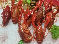 -曼格纳·曼芯馆(杨浦店)