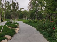 -回龙观体育文化公园