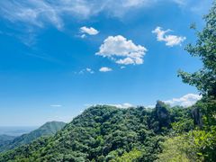 -大岭沟猕猴桃谷风景区