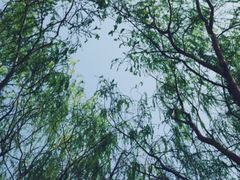 -三里河公园