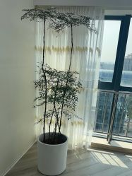 -HEYAN荷妍专业脱毛连锁机构