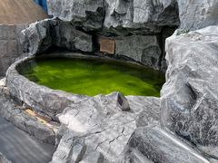 -爱江山温泉(凌奥店)