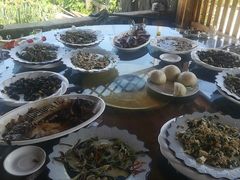 青椒香芹-养顺农家院