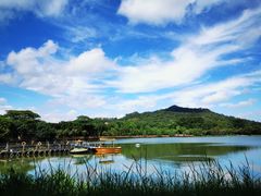 -番禺大夫山森林公园