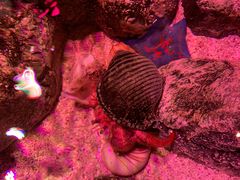 -沈阳海洋探索中心