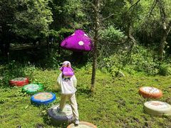 -叠溪松坪沟景区