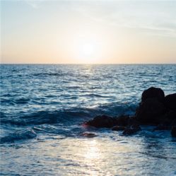 -薇兰专业脱毛连锁机构