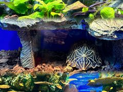 -上海海洋水族馆