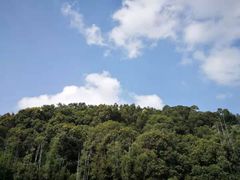 -广州市帽峰山景区