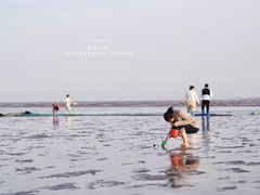 -南汇嘴观海公园