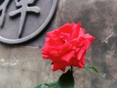 -终南山南五台景区