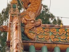 -药王庙(安国市)