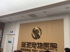 -瑞派康怡24h宠物医院·犬猫医疗中心·微创绝育(瑞景分院)