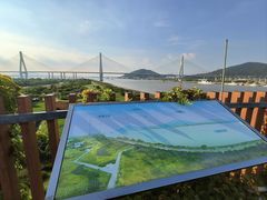 -芒洲湿地公园