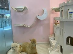 -千寻布偶家主题咖啡馆