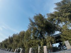 -宝安西湾红树林湿地公园