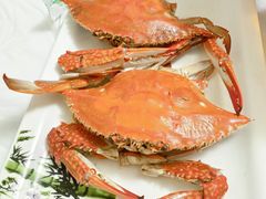 -宾朋海鲜特色美食餐厅·纯手工鲅鱼水饺(兴海路店)