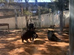 -昆明动物园