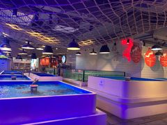 -日进一片海.生腌海鲜火锅.宵夜烧烤(三里屯总店)