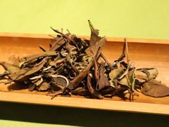 -诗宇时光茶艺书法古琴培训