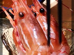 -紫· 割烹  Kappo Murasaki