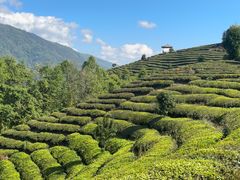 -乔岩保应烧烤店