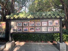 -侨美·唐荔园·40年地道粤菜