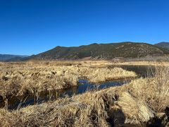 -泸沽湖国家级风景名胜区走婚桥