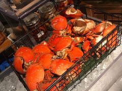 -味餐厅·海鲜·火锅·自助餐