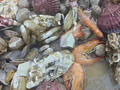 -农家乐大锅台铁锅炖(四流中路店)